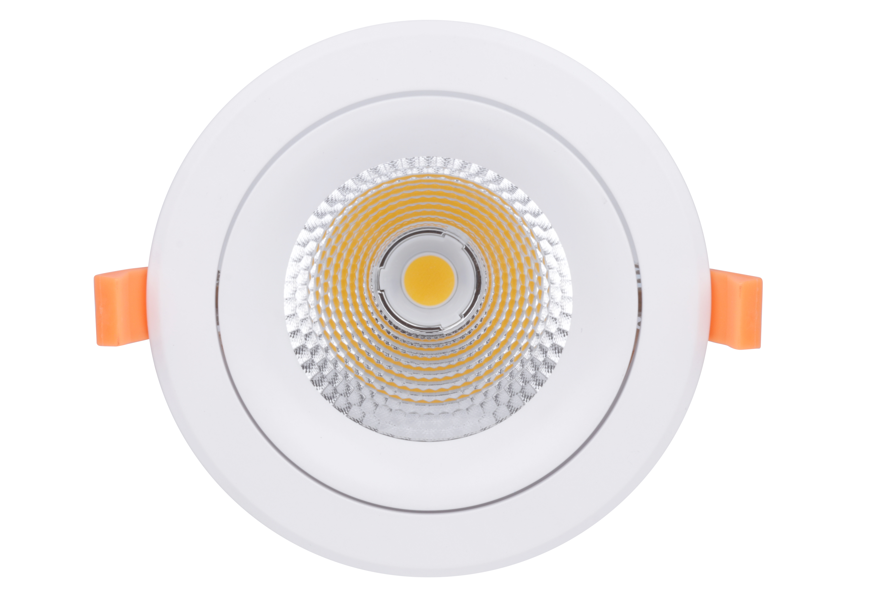Downlight 25 Watt