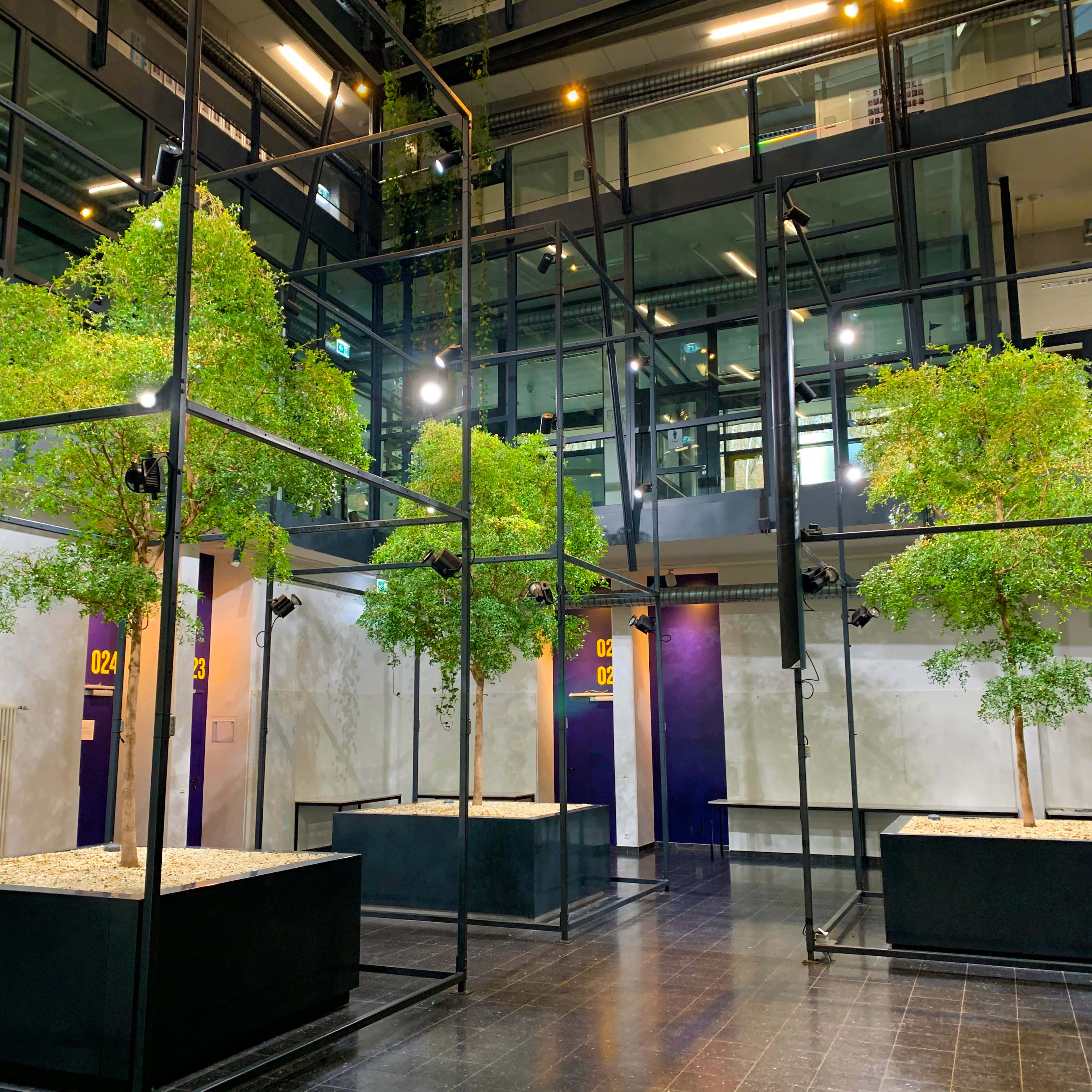 Sonderleuchten für drei Bucidas